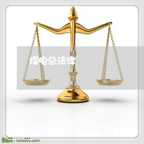 煤电总法律