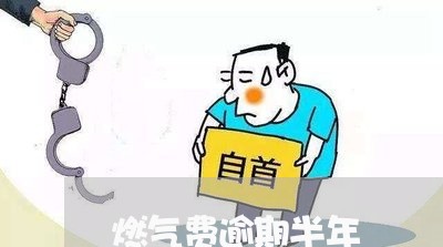 燃气费逾期半年