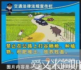爱又米逾期能借