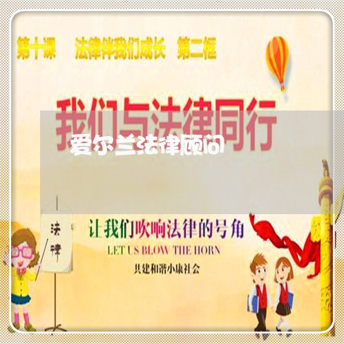 爱尔兰法律顾问/2023061784826 爱尔兰法律顾问/2023061784826