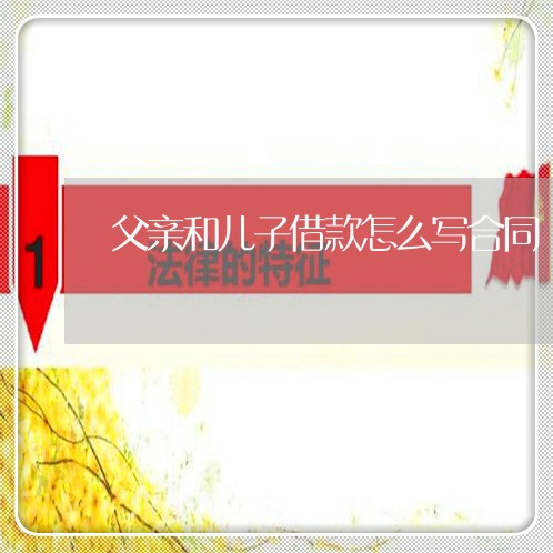 父亲和儿子借款怎么写合同/2023041154825 父亲和儿子借款怎么写合同/2023041154825