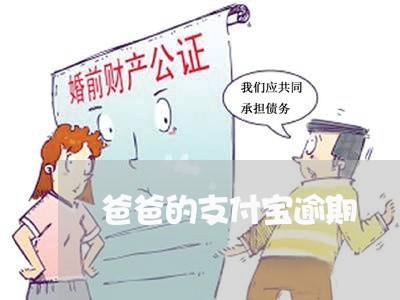 爸爸的支付宝逾期 爸爸的支付宝逾期