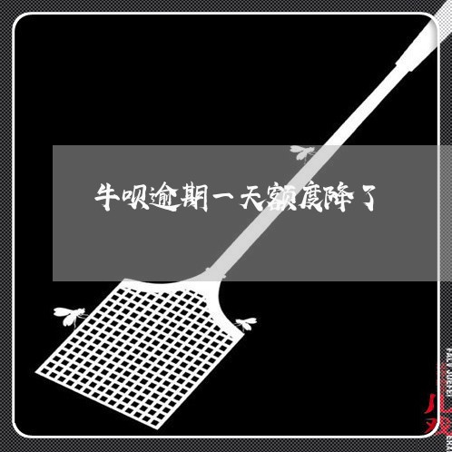 牛呗逾期一天额度降了 牛呗逾期一天额度降了