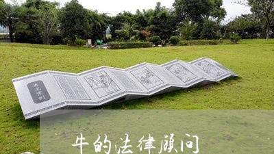 牛的法律顾问