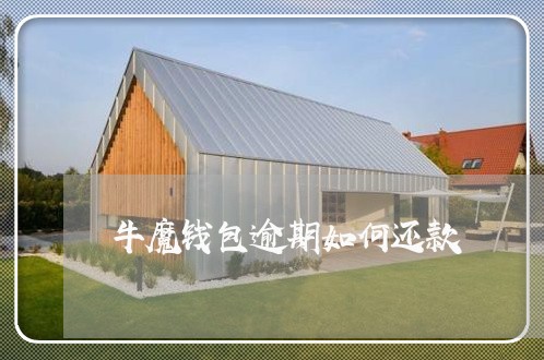 牛魔钱包逾期如何还款 牛魔钱包逾期如何还款