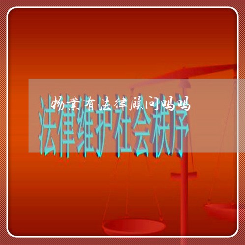 物业有法律顾问吗吗/2023061763937