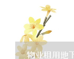 物业租用地下车库合同怎么写/2023042594925
