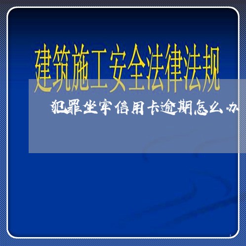 犯罪坐牢信用卡逾期怎么办/2023060179583