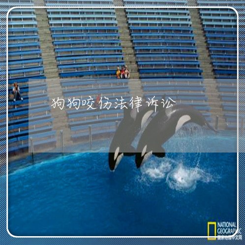 狗狗咬伤法律诉讼