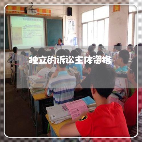 独立的诉讼主体资格