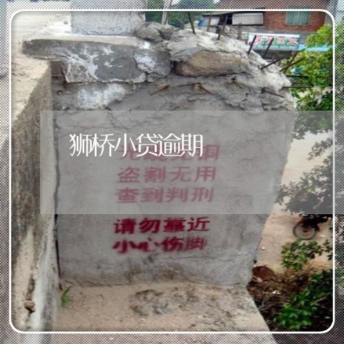狮桥小贷逾期