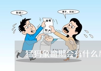 猛犸象逾期会有什么后果