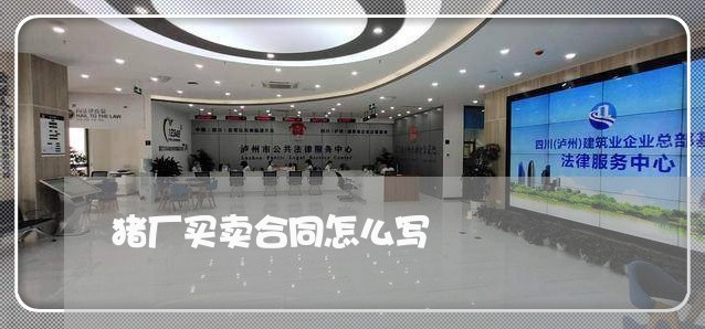 猪厂买卖合同怎么写/2023041261514