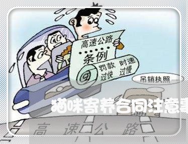猫咪寄养合同注意事项怎么写/2023041583616 猫咪寄养合同注意事项怎么写/2023041583616