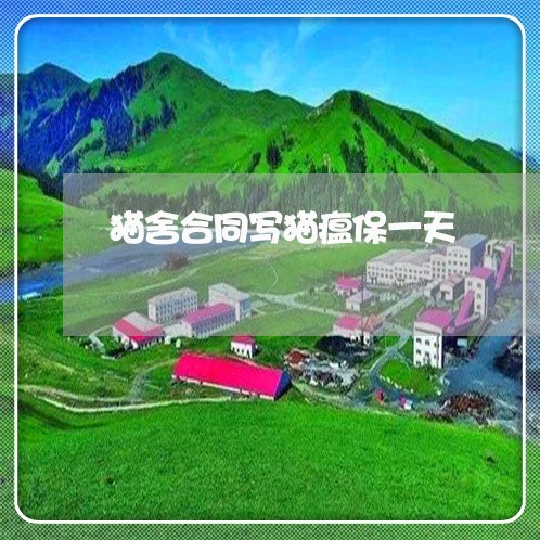 猫舍合同写猫瘟保一天/2023060749363 猫舍合同写猫瘟保一天/2023060749363