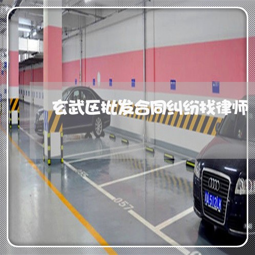 玄武区批发合同纠纷找律师 玄武区批发合同纠纷找律师