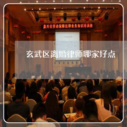 玄武区离婚律师哪家好点 玄武区离婚律师哪家好点