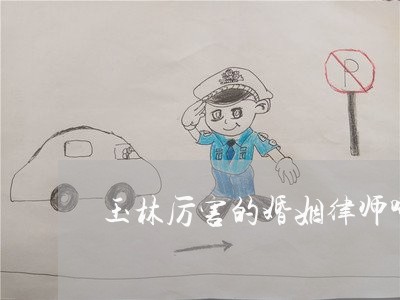 玉林厉害的婚姻律师哪个强
