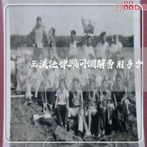 玉溪法律顾问调解费用多少