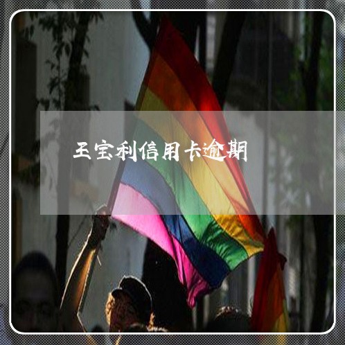 王宝利信用卡逾期/2023020405947 王宝利信用卡逾期/2023020405947