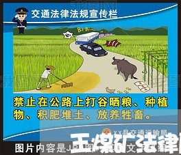 王煤矿法律顾问霞