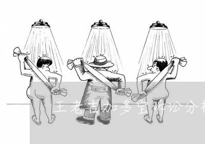 王老吉加多宝诉讼分析