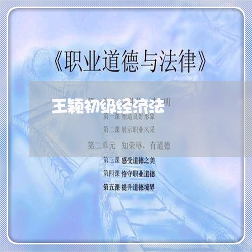 王颖初级经济法