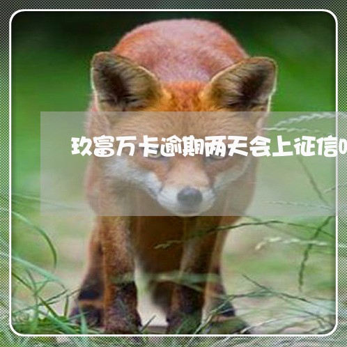 玖富万卡逾期两天会上征信吗