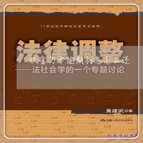 玖富万卡逾期利息怎么还/2023061862513