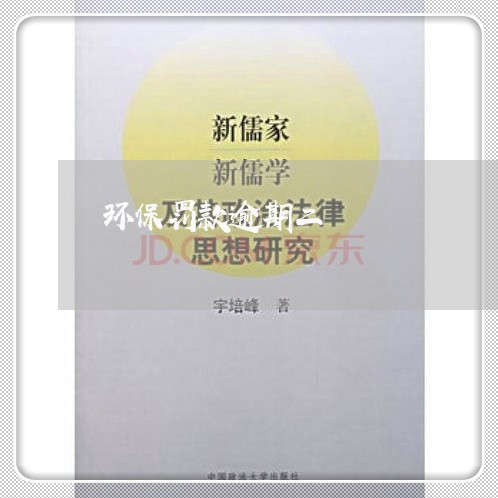 环保罚款逾期二