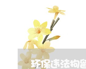 环保违法拘留案由 环保违法拘留案由