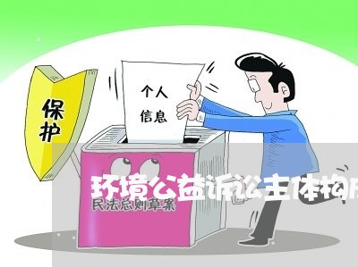 环境公益诉讼主体构成要件