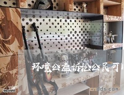 环境公益诉讼公民可以提