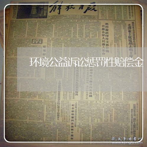 环境公益诉讼惩罚性赔偿金 环境公益诉讼惩罚性赔偿金