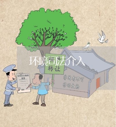 环境司法介入