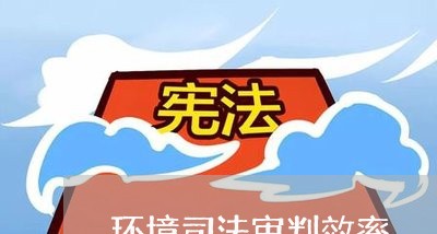 环境司法审判效率