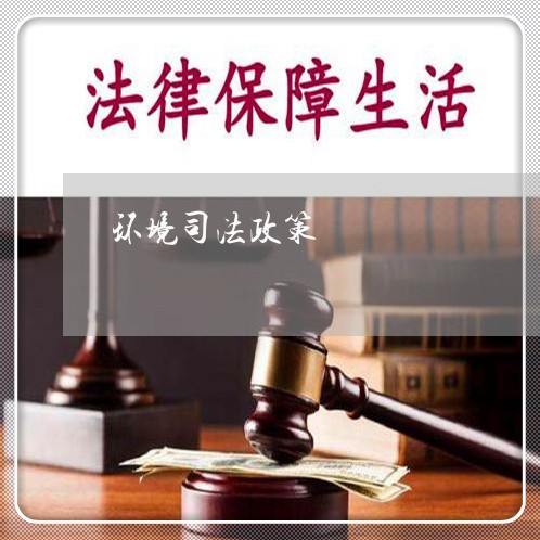 环境司法政策