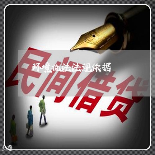 环境执法法规依据