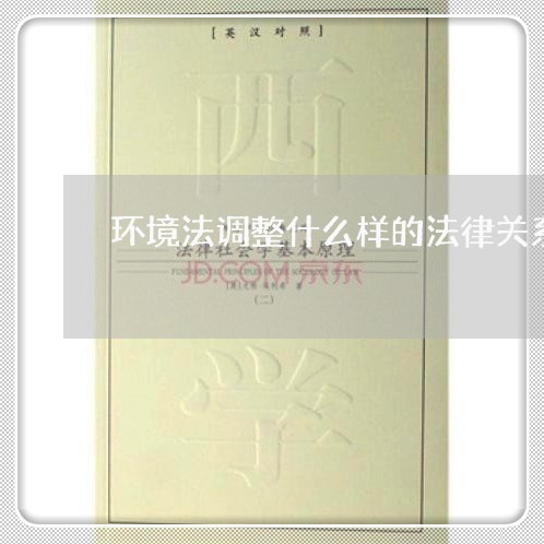 环境法调整什么样的法律关系