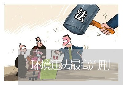 环境违法最高判刑