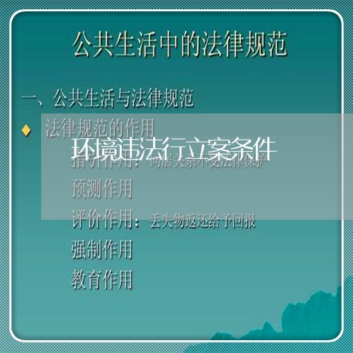 环境违法行立案条件