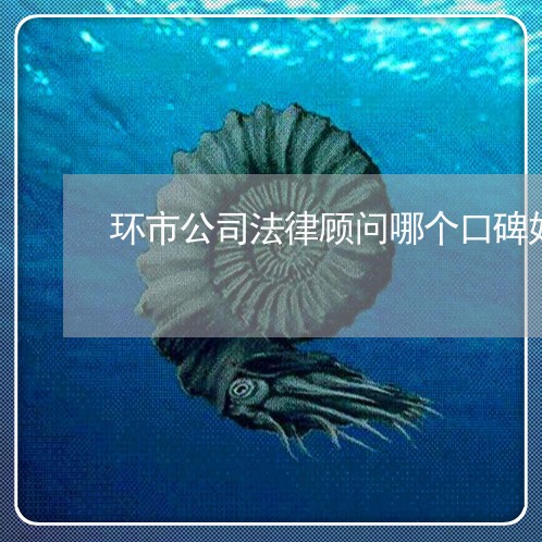 环市公司法律顾问哪个口碑好