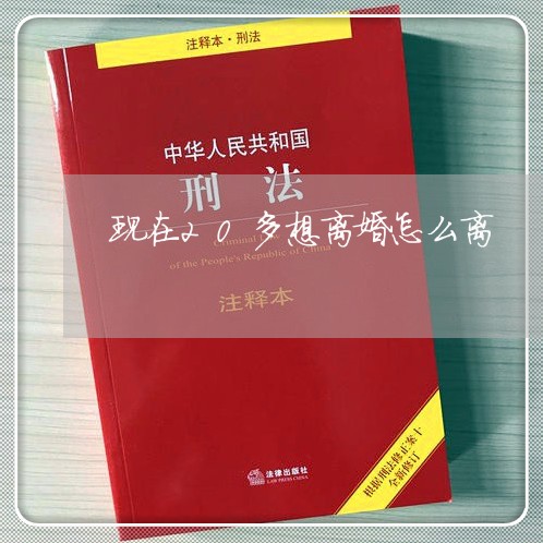 现在20多想离婚怎么离/2023042405027