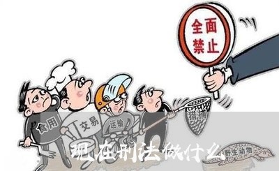 现在刑法做什么 现在刑法做什么