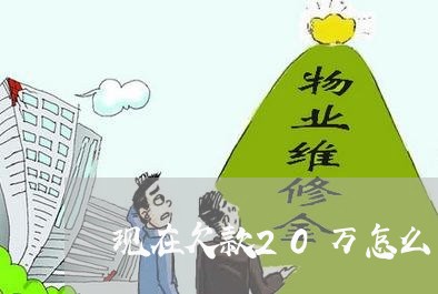 现在欠款20万怎么办理/2023012671404