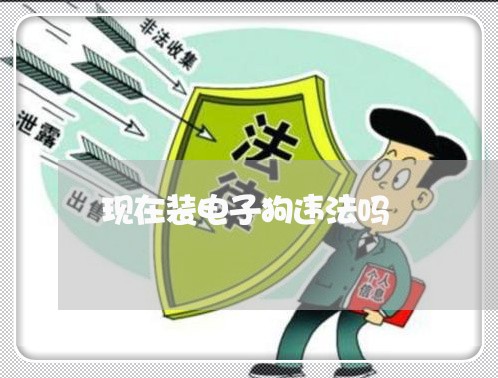 现在装电子狗违法吗