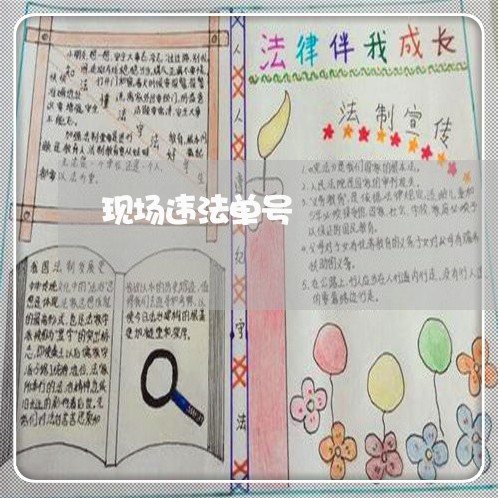 现场违法单号 现场违法单号