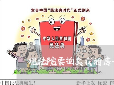 现法院要拍卖我的房子
