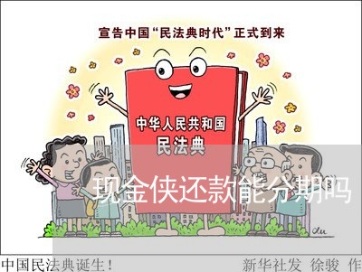 现金侠还款能分期吗