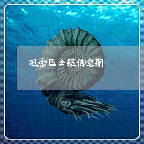 现金巴士短信逾期 现金巴士短信逾期